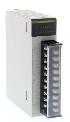 CS1W-OD211